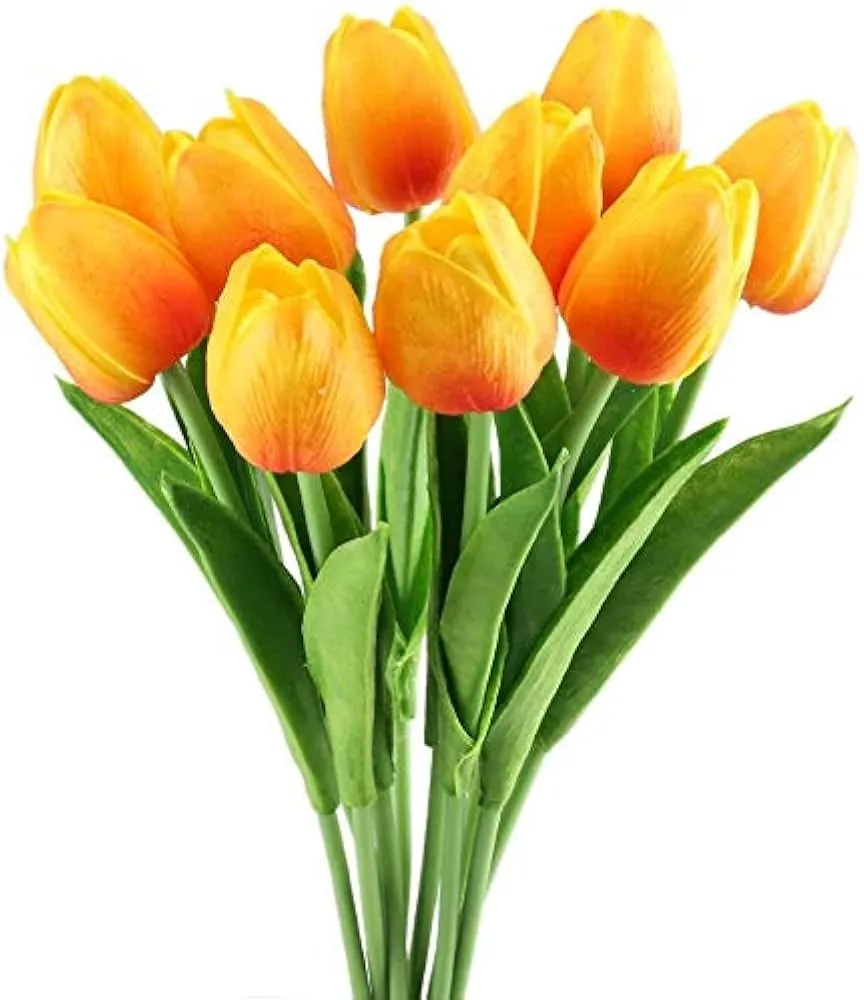 TULIPAN AMARILLO MT-001