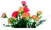 FLOR DE RAMO FIUSHA/CORAL MT-1306
