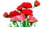 FLOR DE RAMO ROSA/ROJO MT-1306