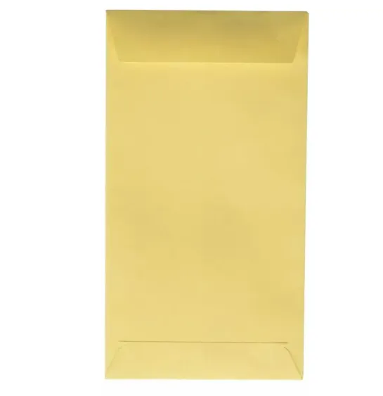 [7501454571939] SOBRE BOLSA COIN #625 8.8 X16.4CM 1 PZA IM0151
