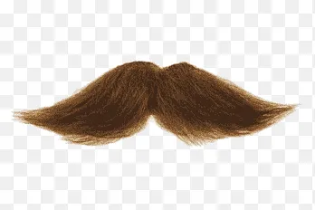 BIGOTES PERSONAJES CAFE BLANQUITA