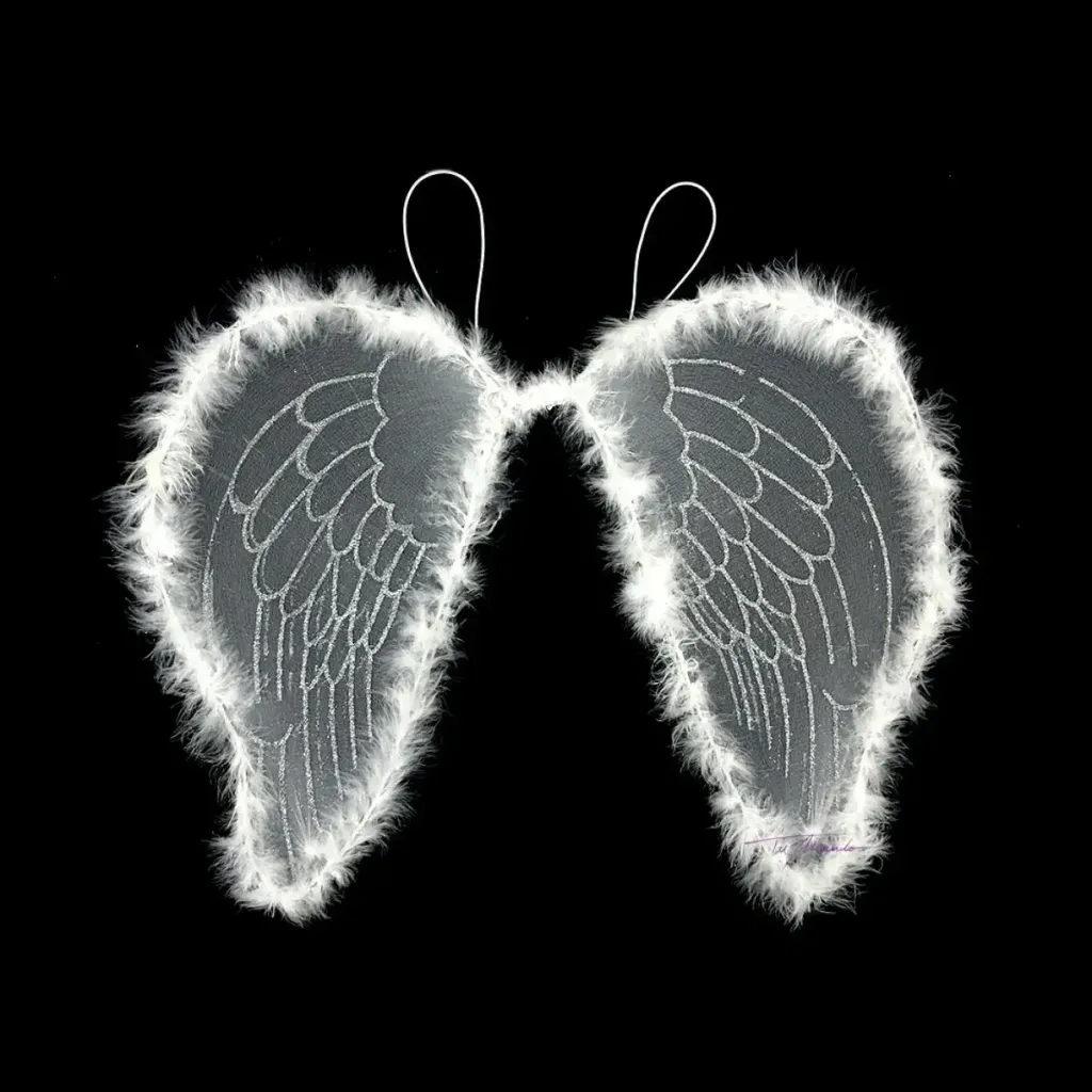 DISFRAZ ALAS DE ANGEL 2747-6